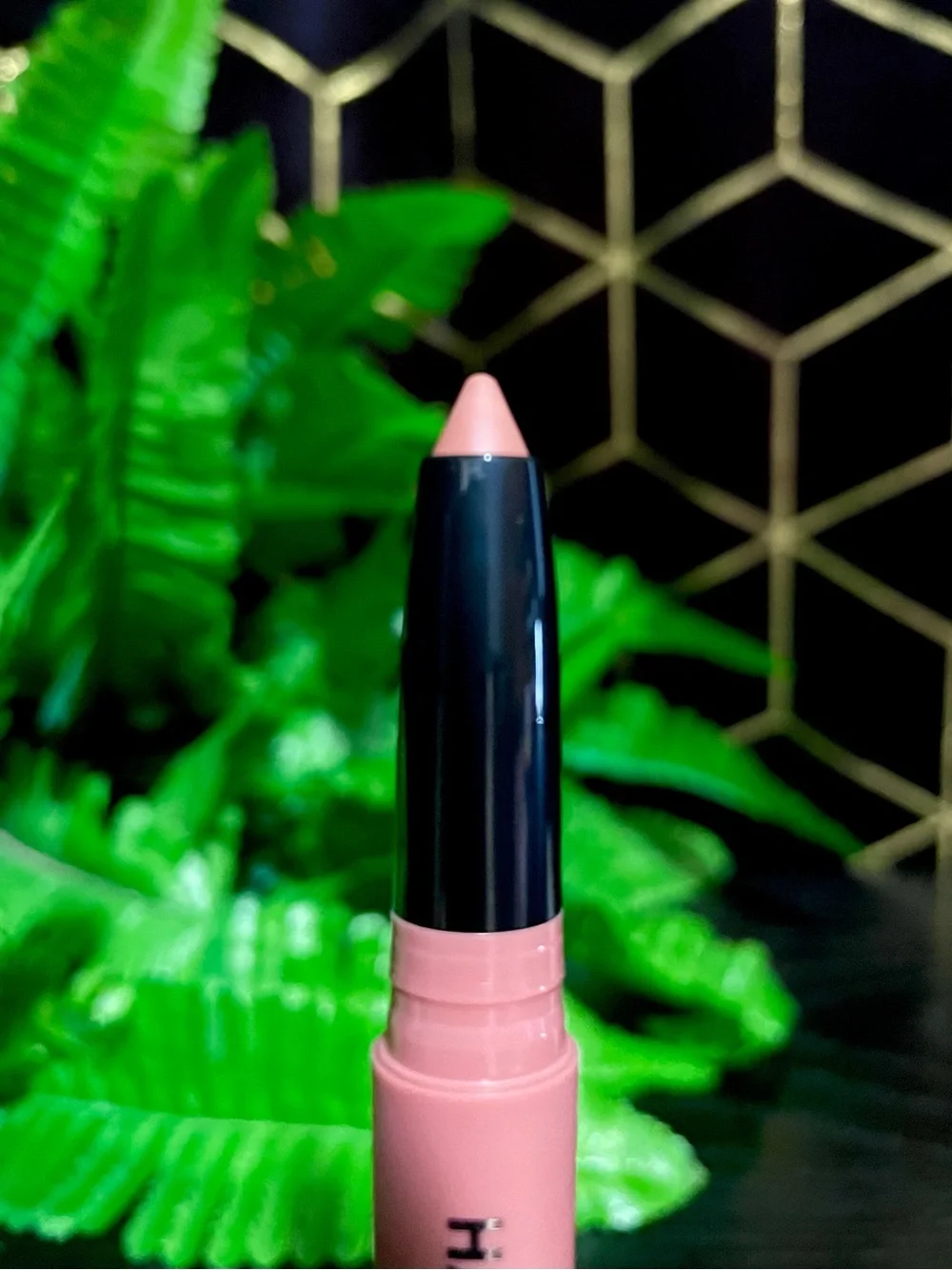 Haus Labs by Lady Gaga Le Monster Lip Crayon: Shade Blush Matte